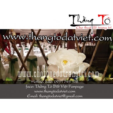 cho thuê cảnh trung thu 11